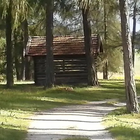 Apartamento Haus Michaeler Obsteig