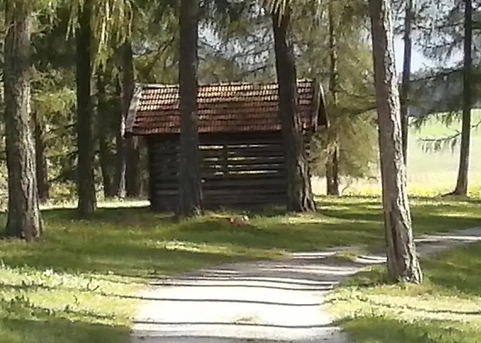 Apartamento Haus Michaeler Obsteig